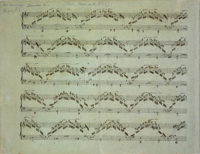 Copy by Linowski